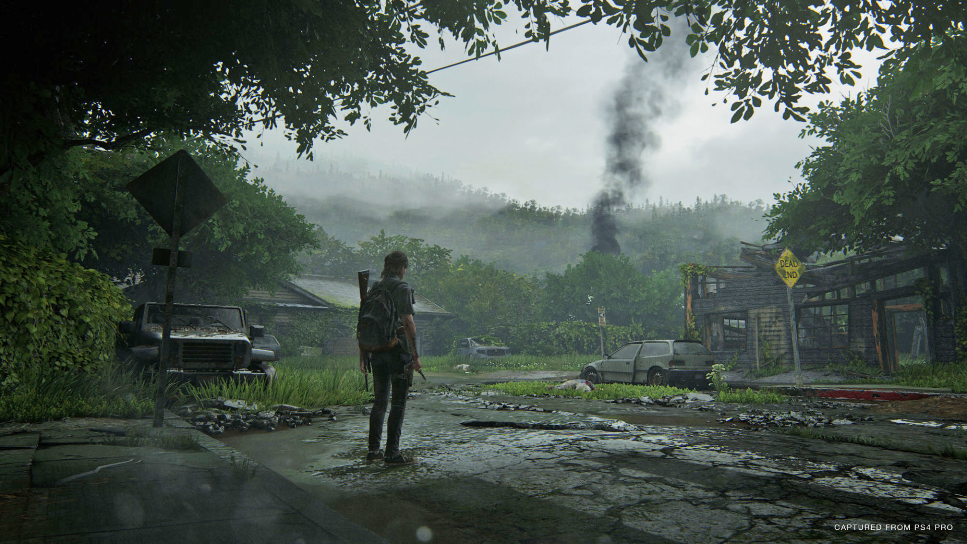 the last of us part ii ps4 pro