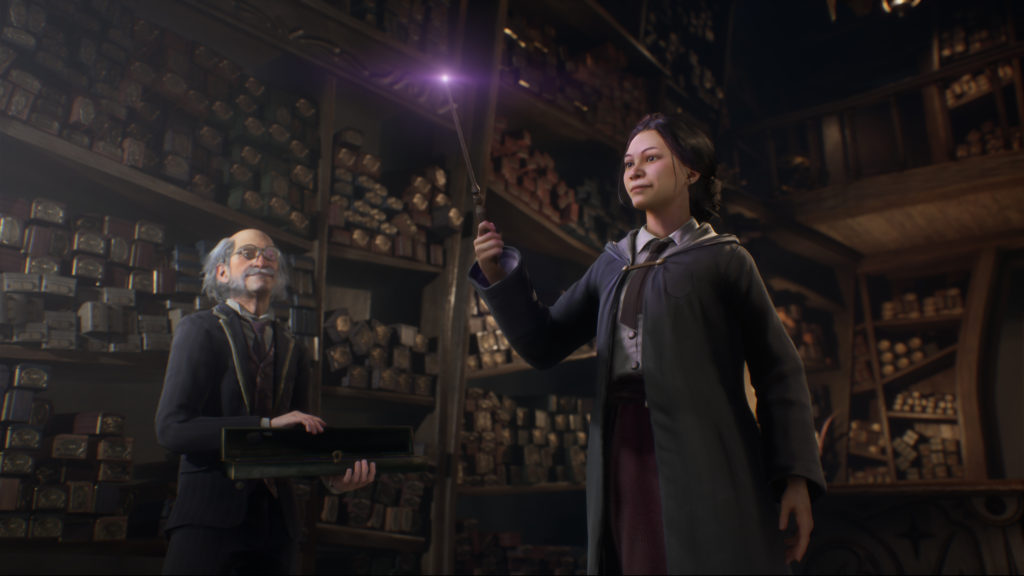 Warner Bros. WB Games Harry Potter Hogwarts Legacy
